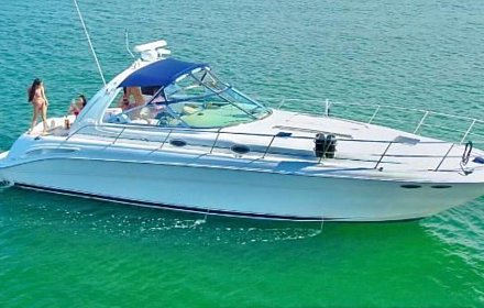 Sea Ray Sundancer 44'