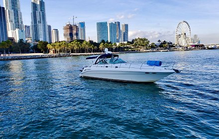 Sea Ray 45 JTS